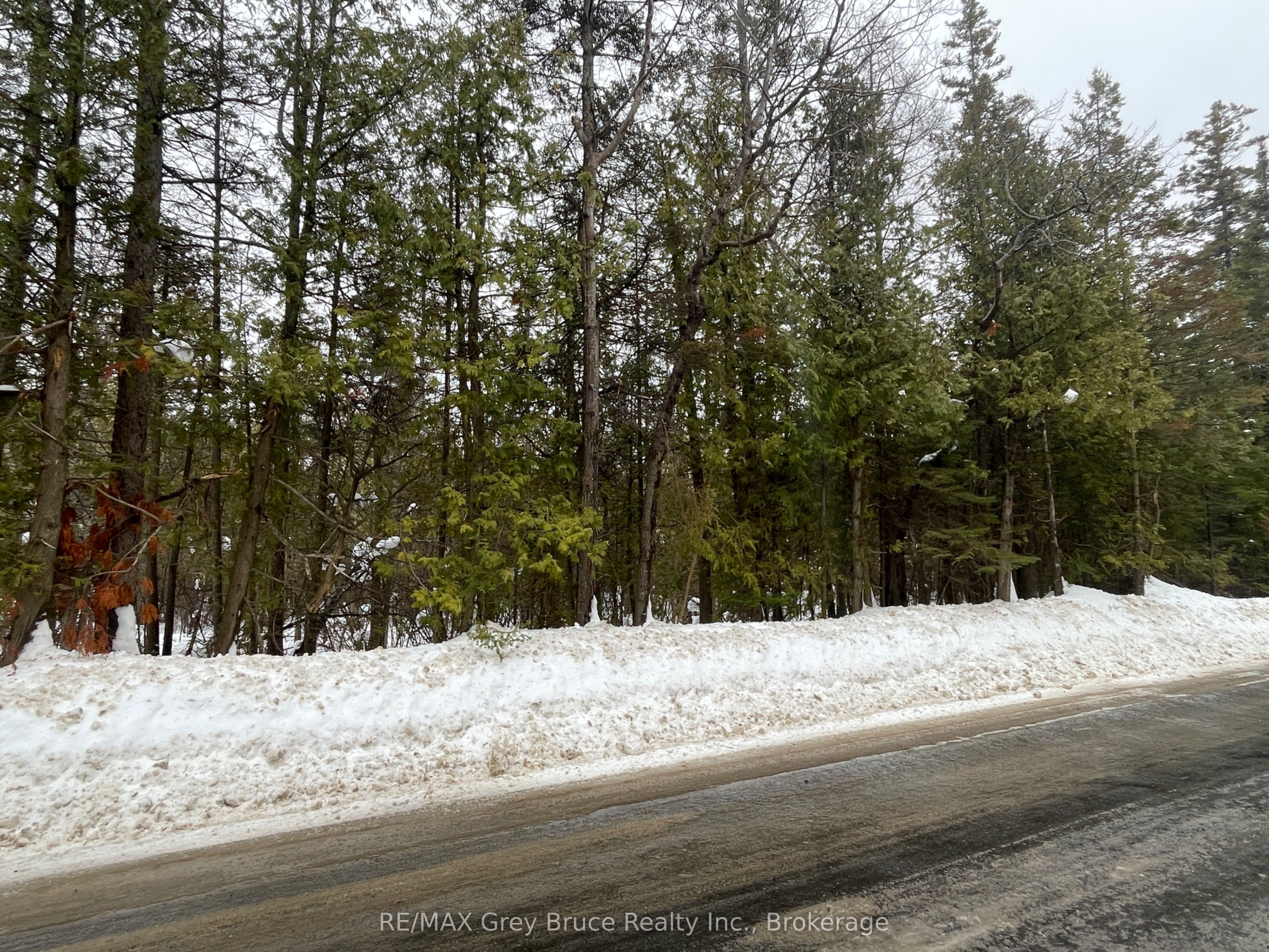 PT Farm LT 4 NICHOLAS Street, Northern Bruce Peninsula, ON N0H 2R0 photo 5
