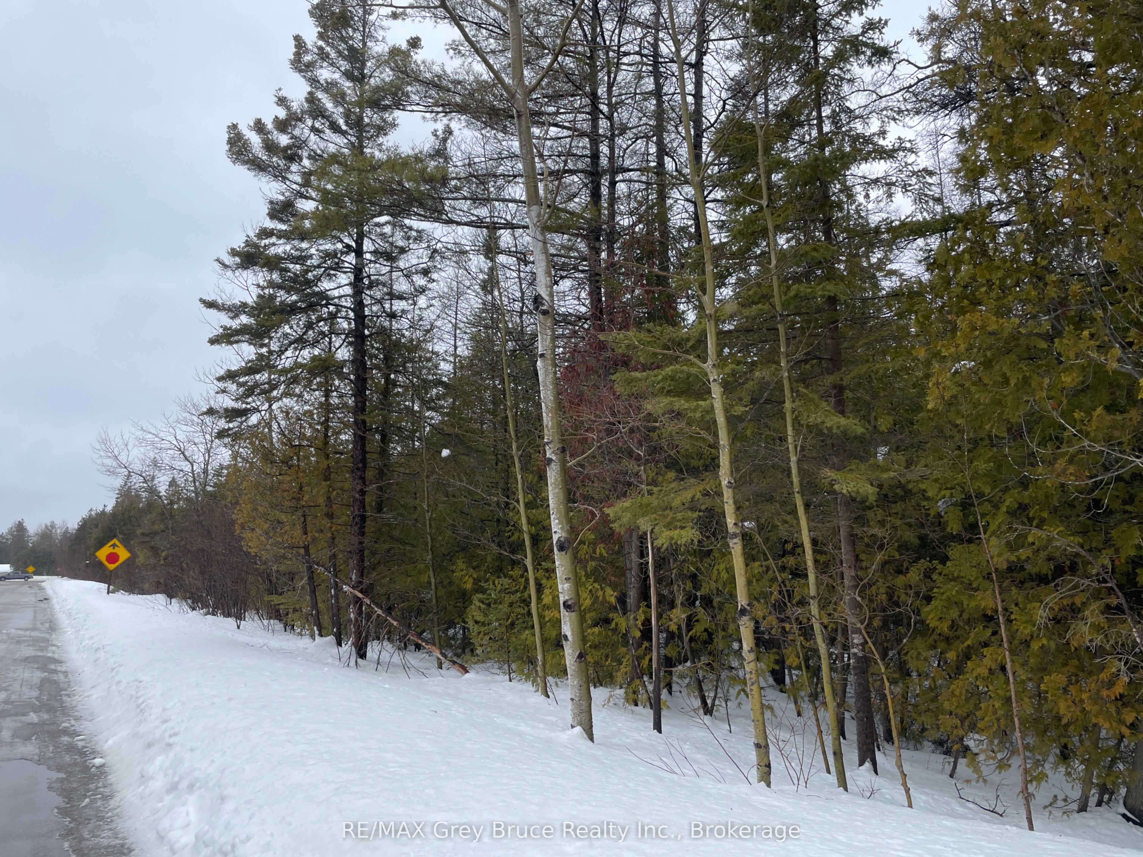 Part Fm Lot 4 Chi Sin Tib Dek Road, Northern Bruce Peninsula, ON N0H 2R0 photo 4