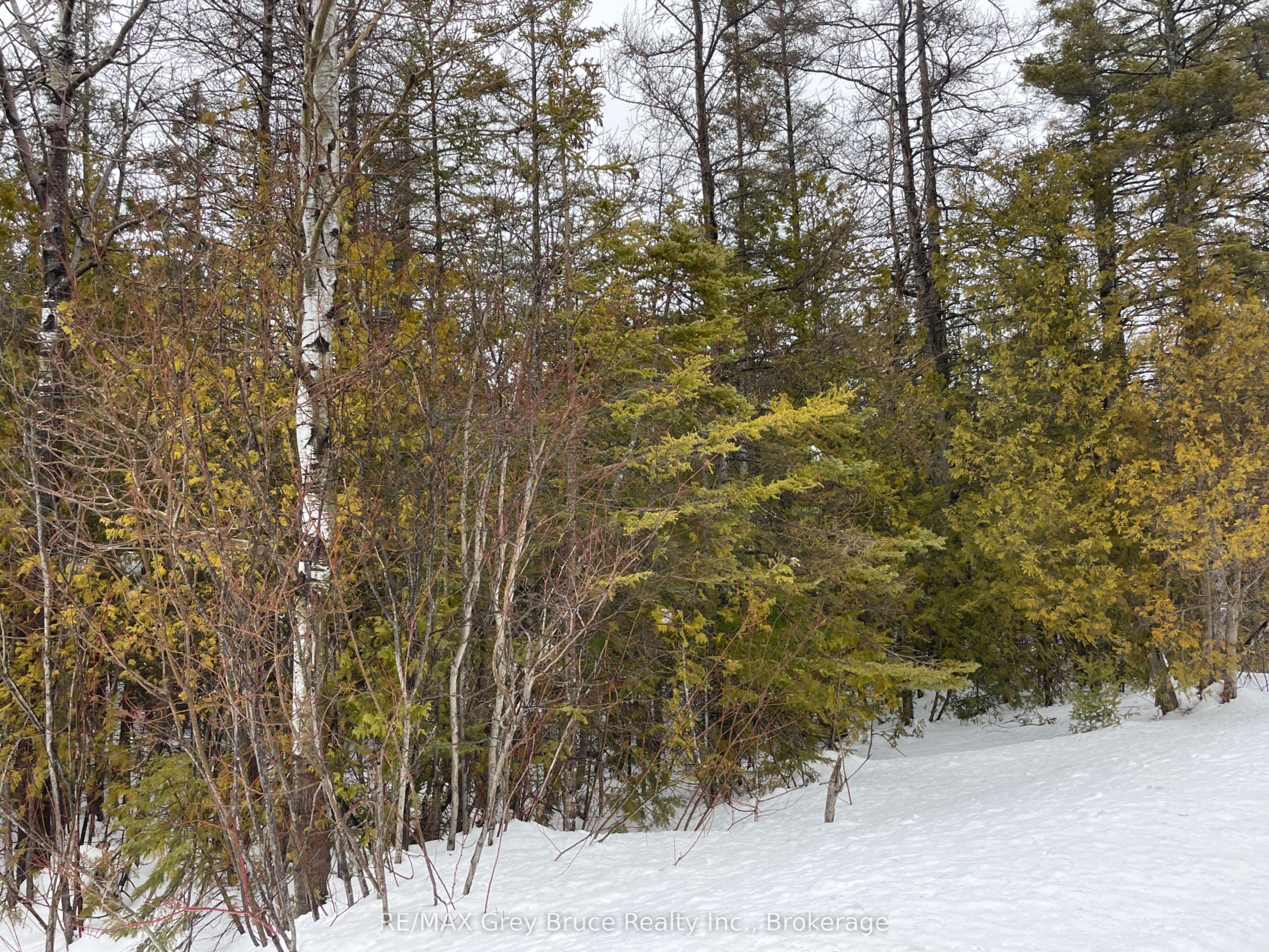 Part Fm Lot 4 Chi Sin Tib Dek Road, Northern Bruce Peninsula, ON N0H 2R0 photo 5