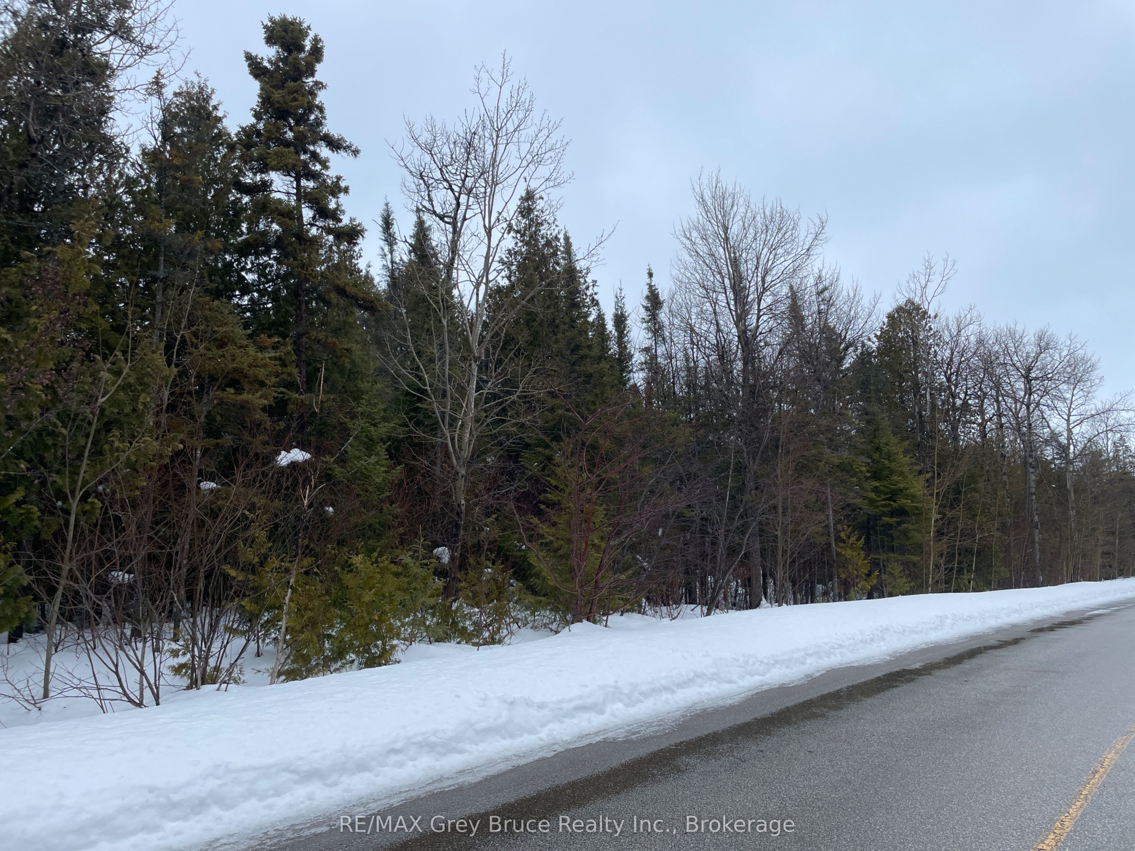 Part Farm Lot 4 CHI SIN TIB DEK Road, Northern Bruce Peninsula, ON N0H 2R0 photo 5