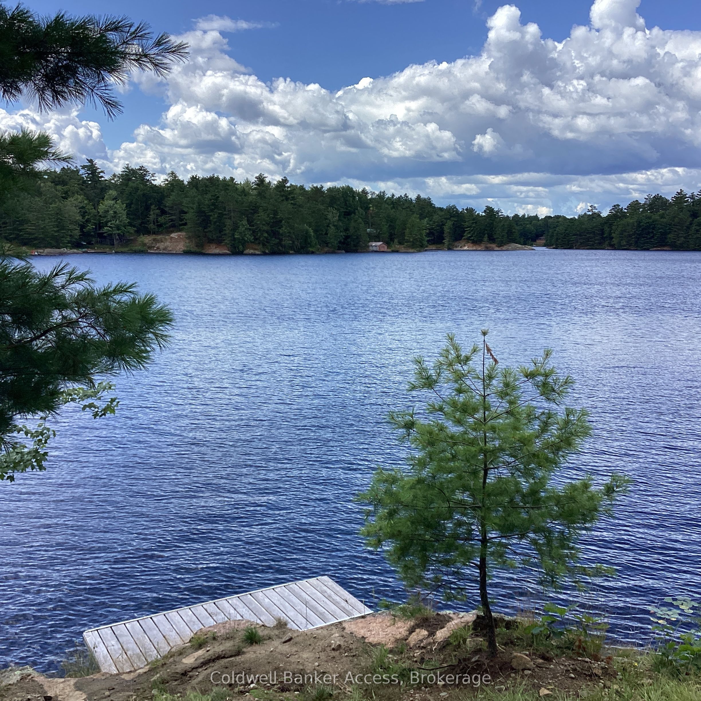 1029 Sunset Boulevard, Gravenhurst, ON P1P 1R2 photo 4
