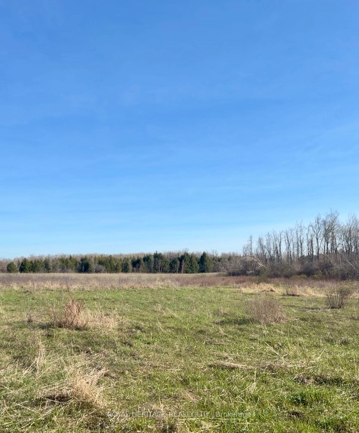 N/A Traceys Hill Road, Kawartha Lakes, ON K9V 4R5