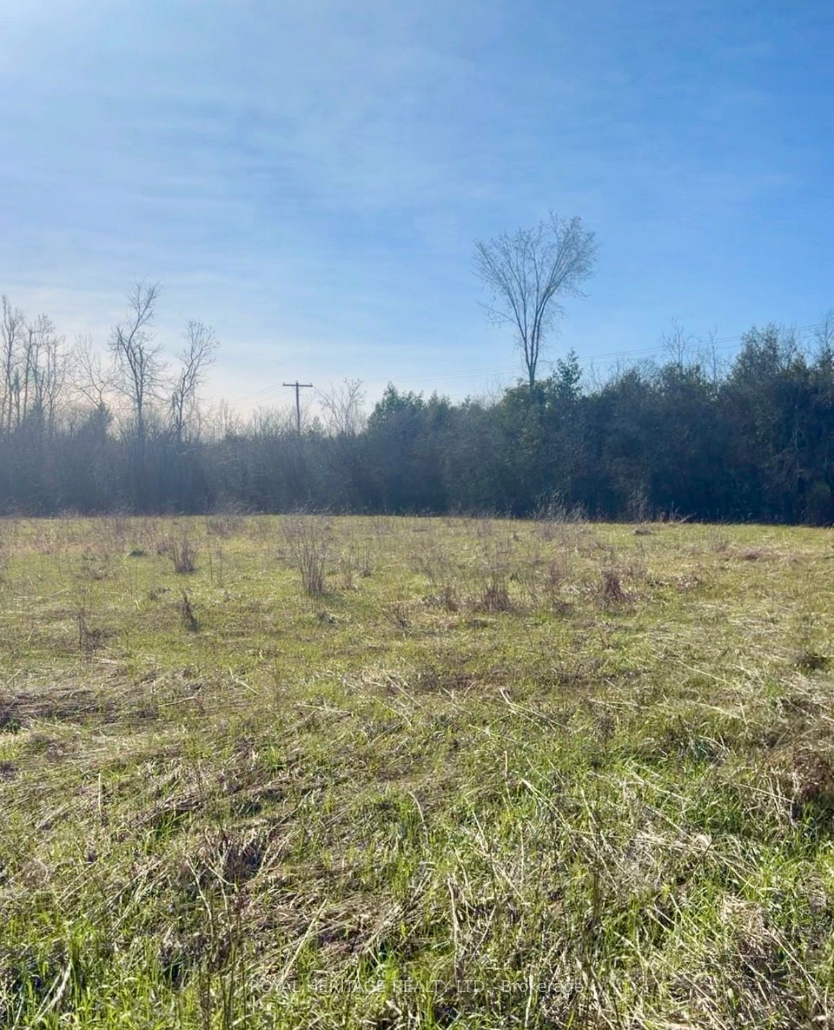 N/A Traceys Hill Road, Kawartha Lakes, ON K9V 4R5 photo 2