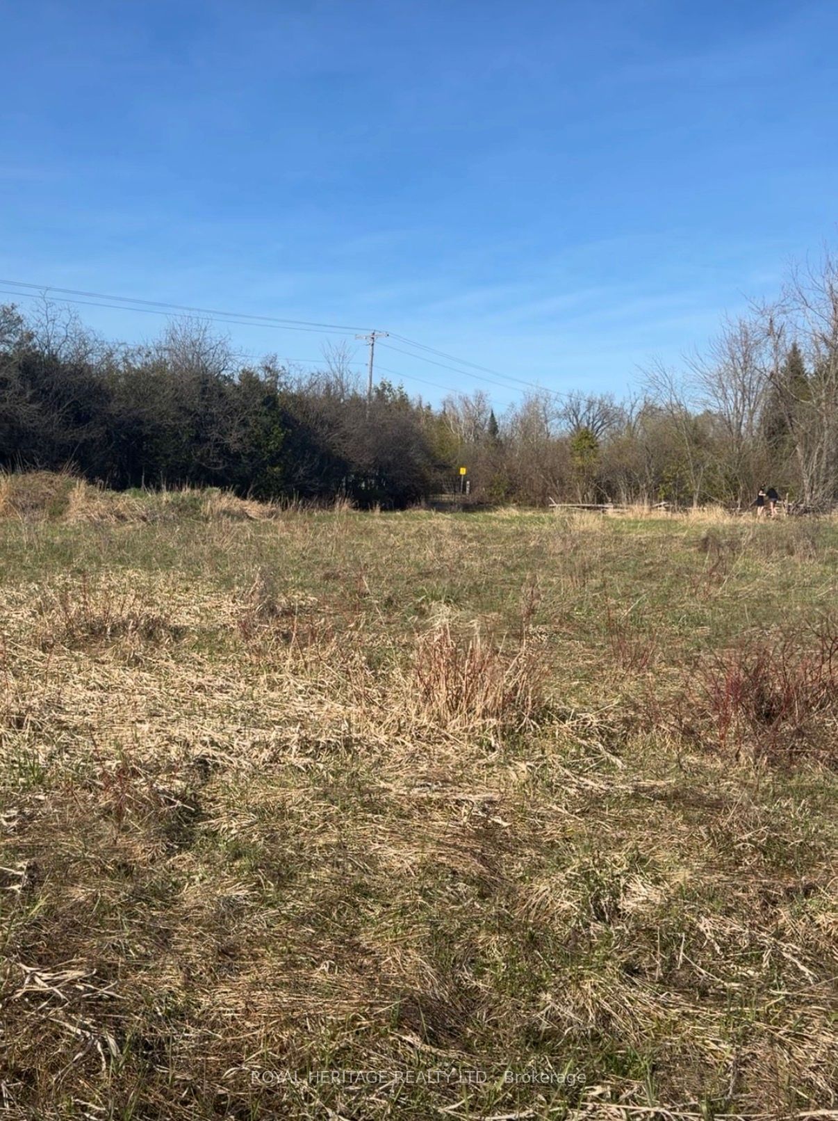 N/A Traceys Hill Road, Kawartha Lakes, ON K9V 4R5 photo 3
