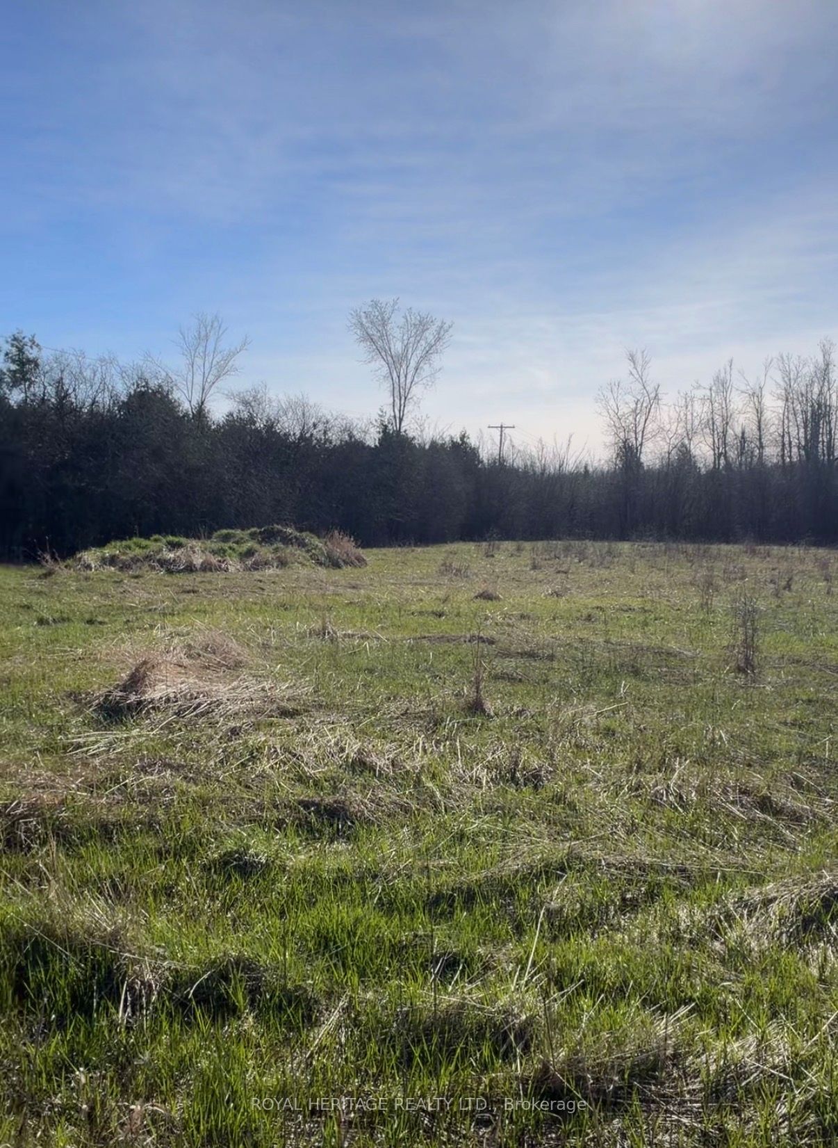 N/A Traceys Hill Road, Kawartha Lakes, ON K9V 4R5 photo 4