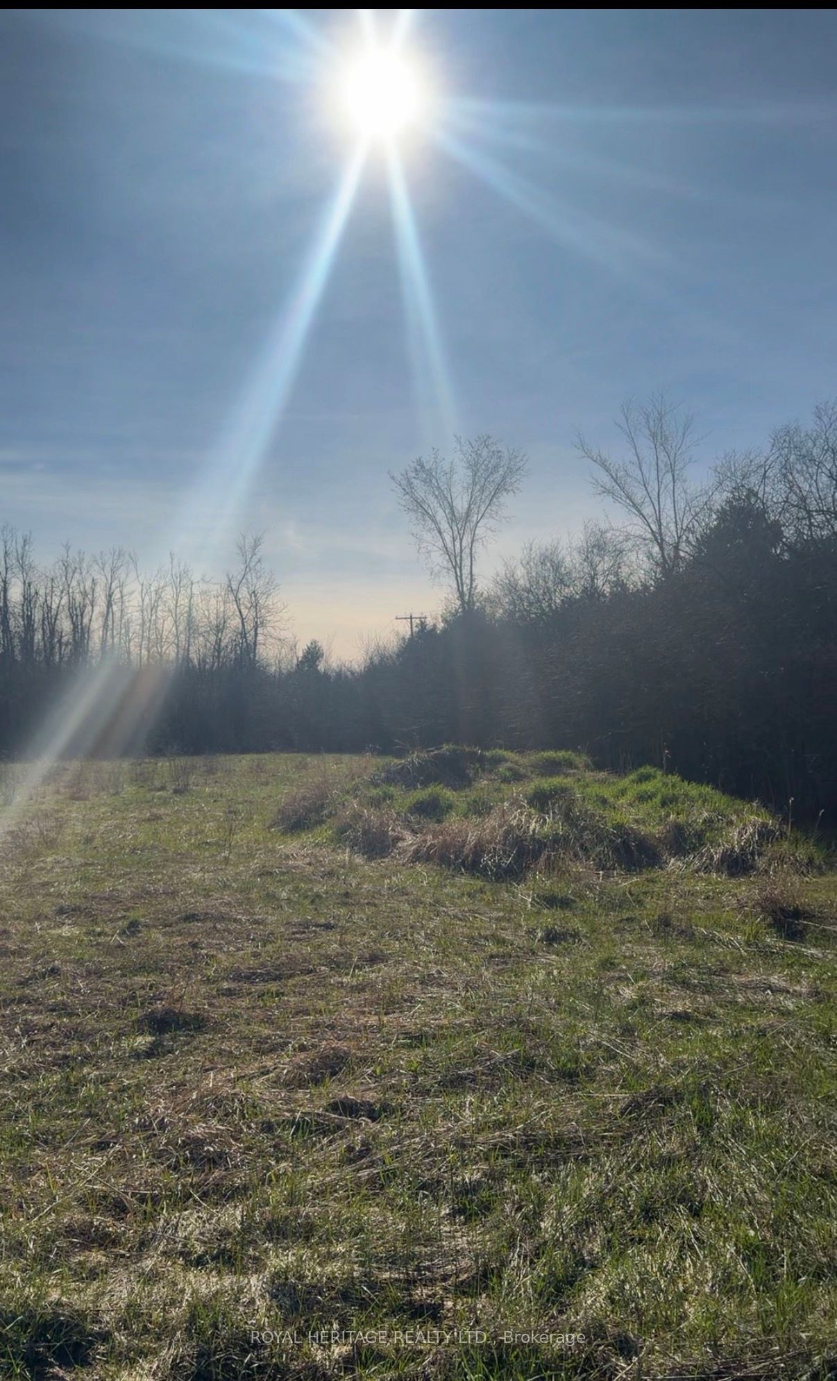 N/A Traceys Hill Road, Kawartha Lakes, ON K9V 4R5 photo 5