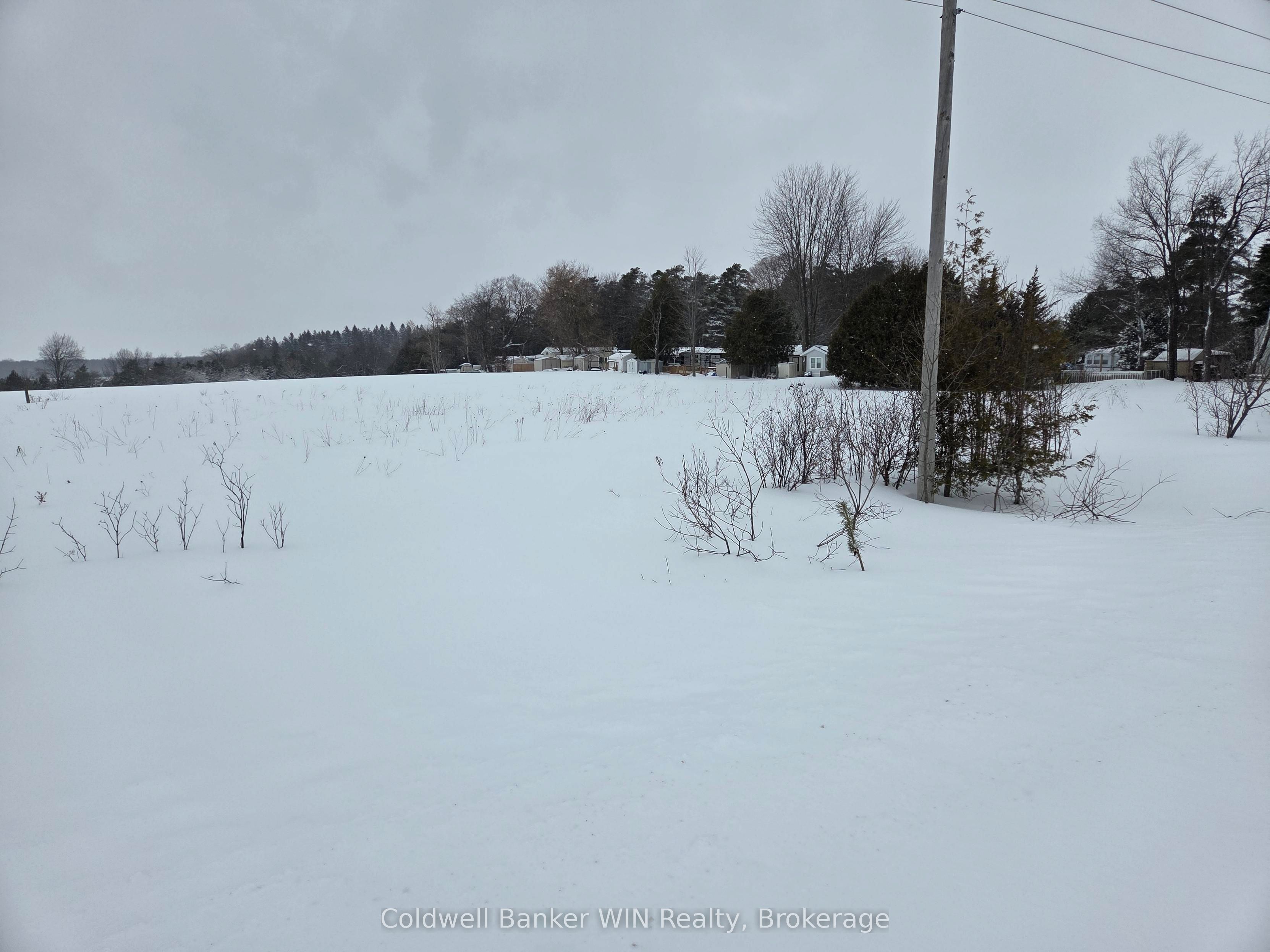 8758 9 Concession, Wellington North, ON N0G 2K0 photo 2