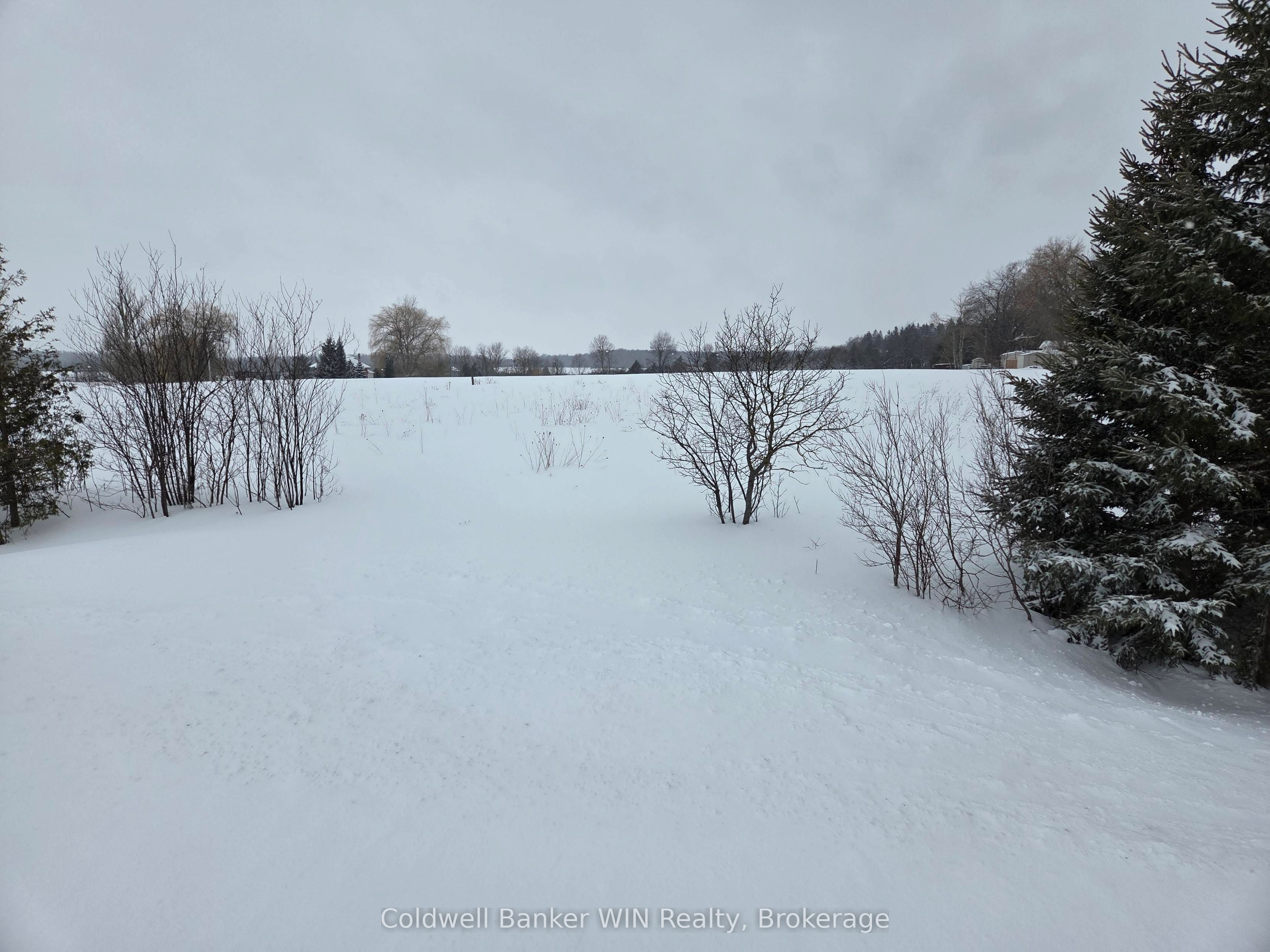 8758 9 Concession, Wellington North, ON N0G 2K0 photo 4