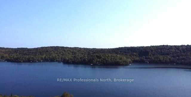 1448-1 WEST OXBOW LAKE Road, Lake of Bays, ON P1H 2J6 photo 2