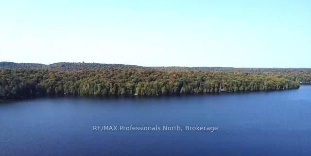 1448-1 WEST OXBOW LAKE Road, Lake of Bays, ON P1H 2J6 photo 3