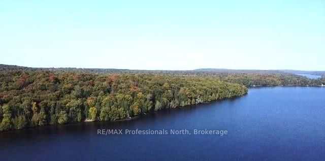 1448-1 WEST OXBOW LAKE Road, Lake of Bays, ON P1H 2J6 photo 4