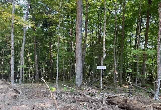 1448-1 WEST OXBOW LAKE Road, Lake of Bays, ON P1H 2J6 photo 5