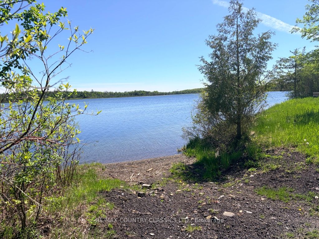 4166 Marlbank Road, Tweed, ON K0K 3J0 photo 3