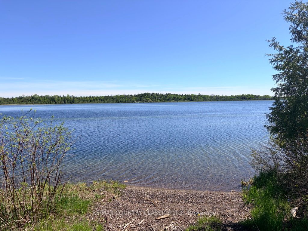 4166 Marlbank Road, Tweed, ON K0K 3J0 photo 4