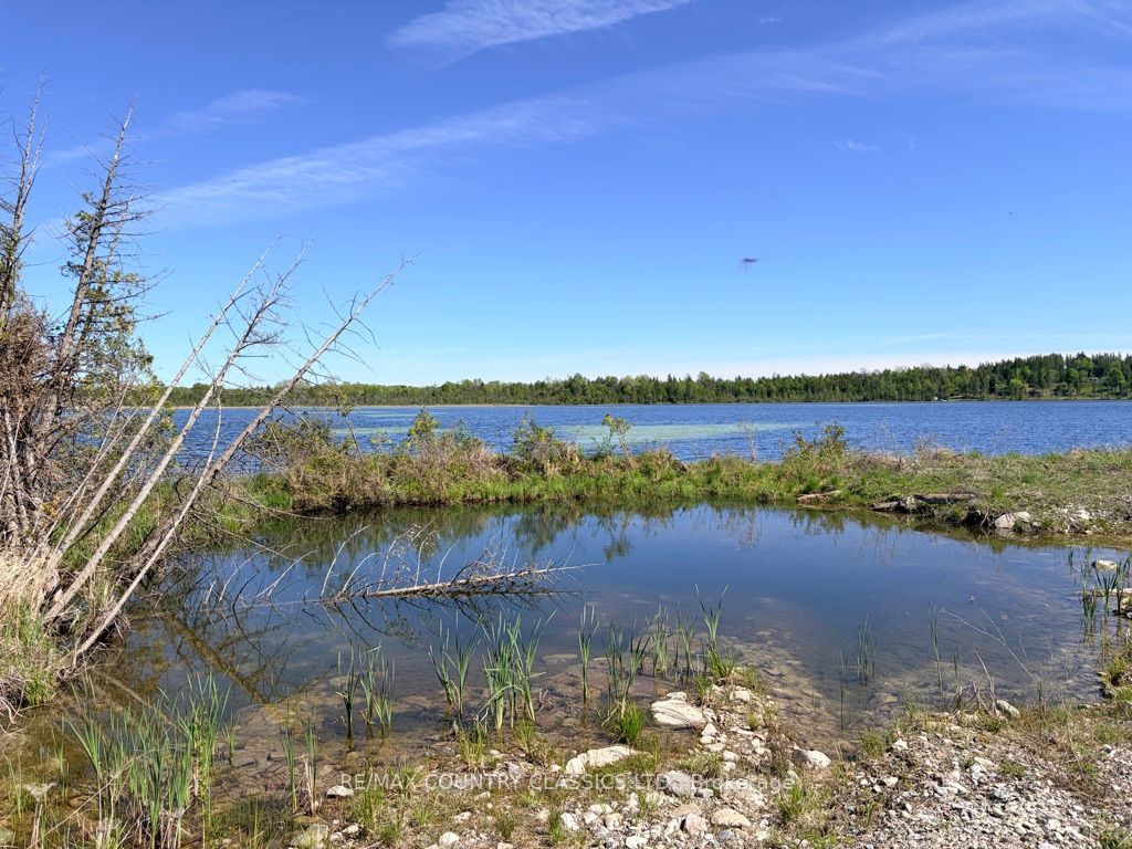4166 Marlbank Road, Tweed, ON K0K 3J0 photo 5
