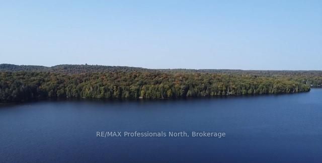 1448-2 WEST OXBOW LAKE Road, Lake of Bays, ON P1H 2J6 photo 5