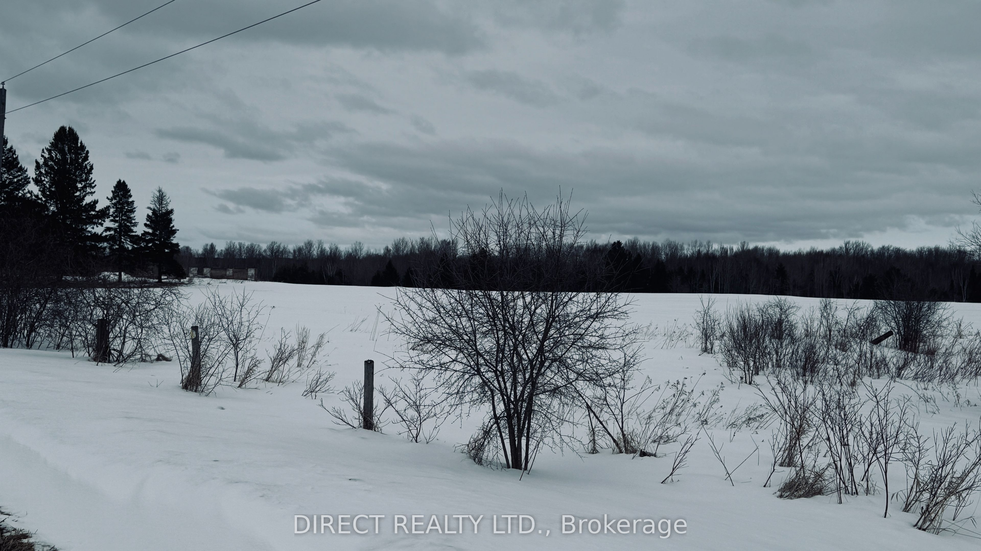 263 Thomas Road, Alnwick/Haldimand, ON K0K 1S0 photo 3