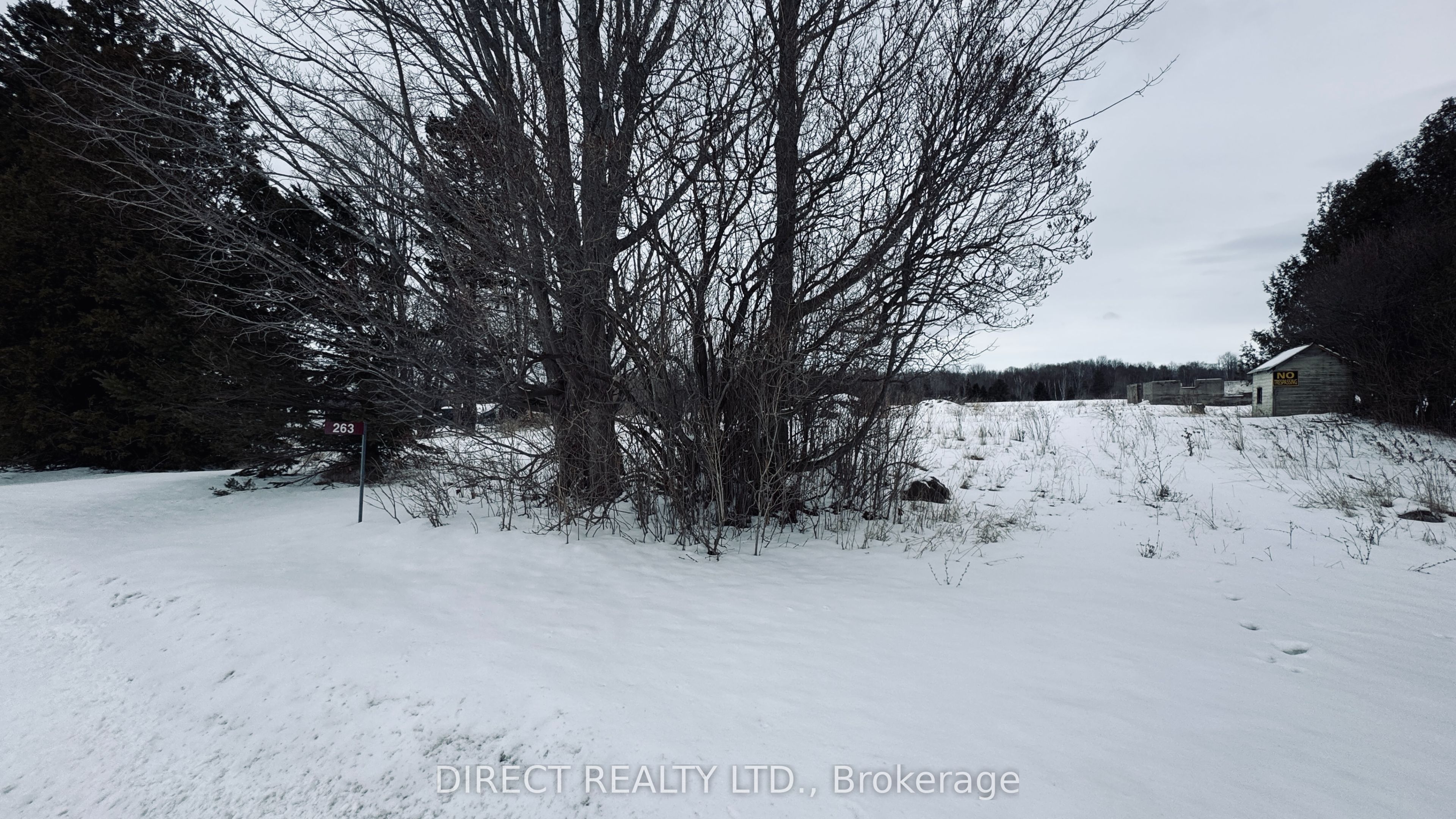 263 Thomas Road, Alnwick/Haldimand, ON K0K 1S0 photo 4