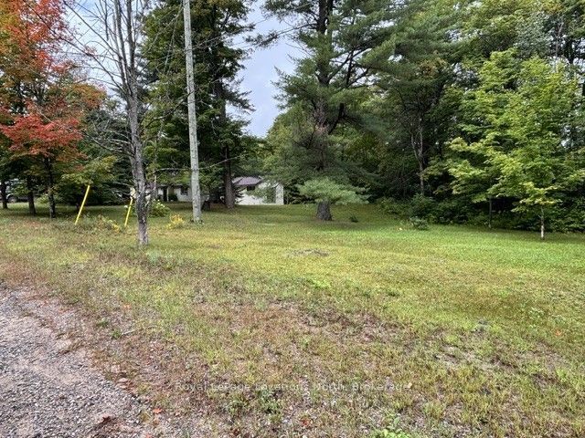 2843 592 Highway, Perry, ON P0A 1J0 photo 5