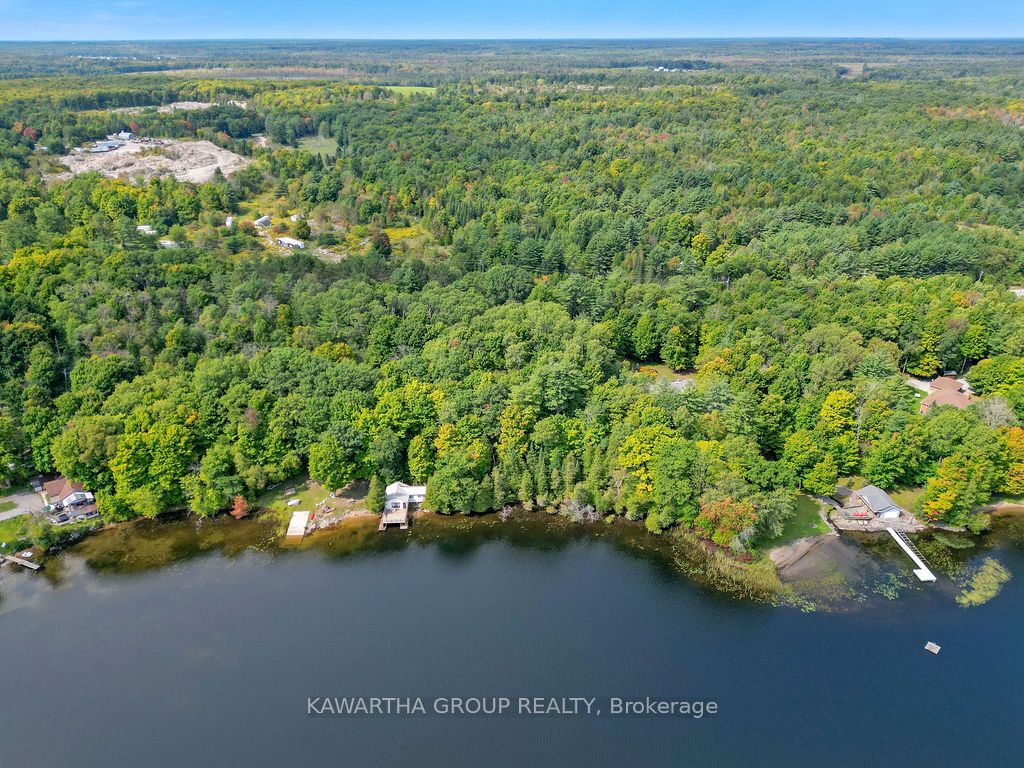 7190 35 Highway N, Kawartha Lakes, ON K0M 1K0 photo 3