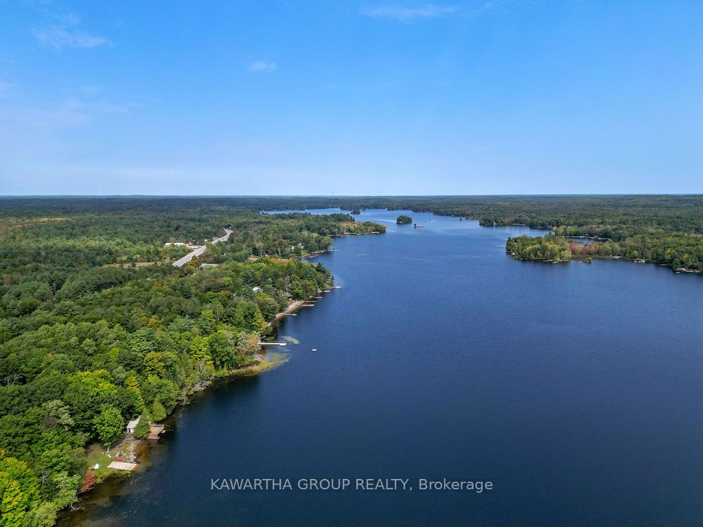 7190 35 Highway N, Kawartha Lakes, ON K0M 1K0 photo 4