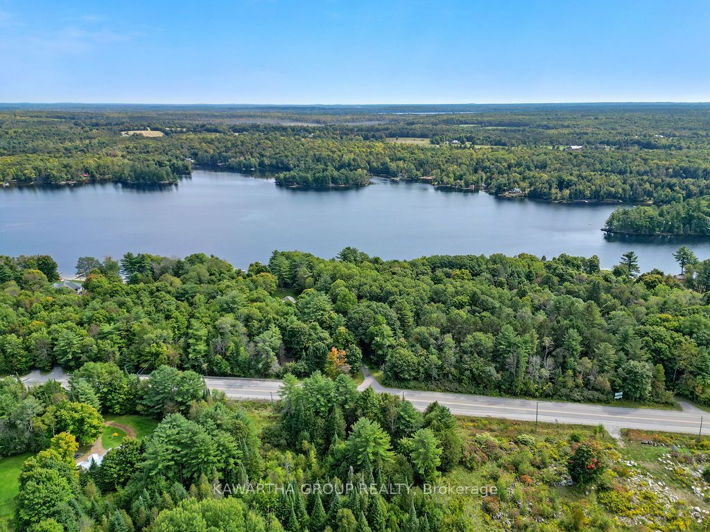 7190 35 Highway N, Kawartha Lakes, ON K0M 1K0 photo 5