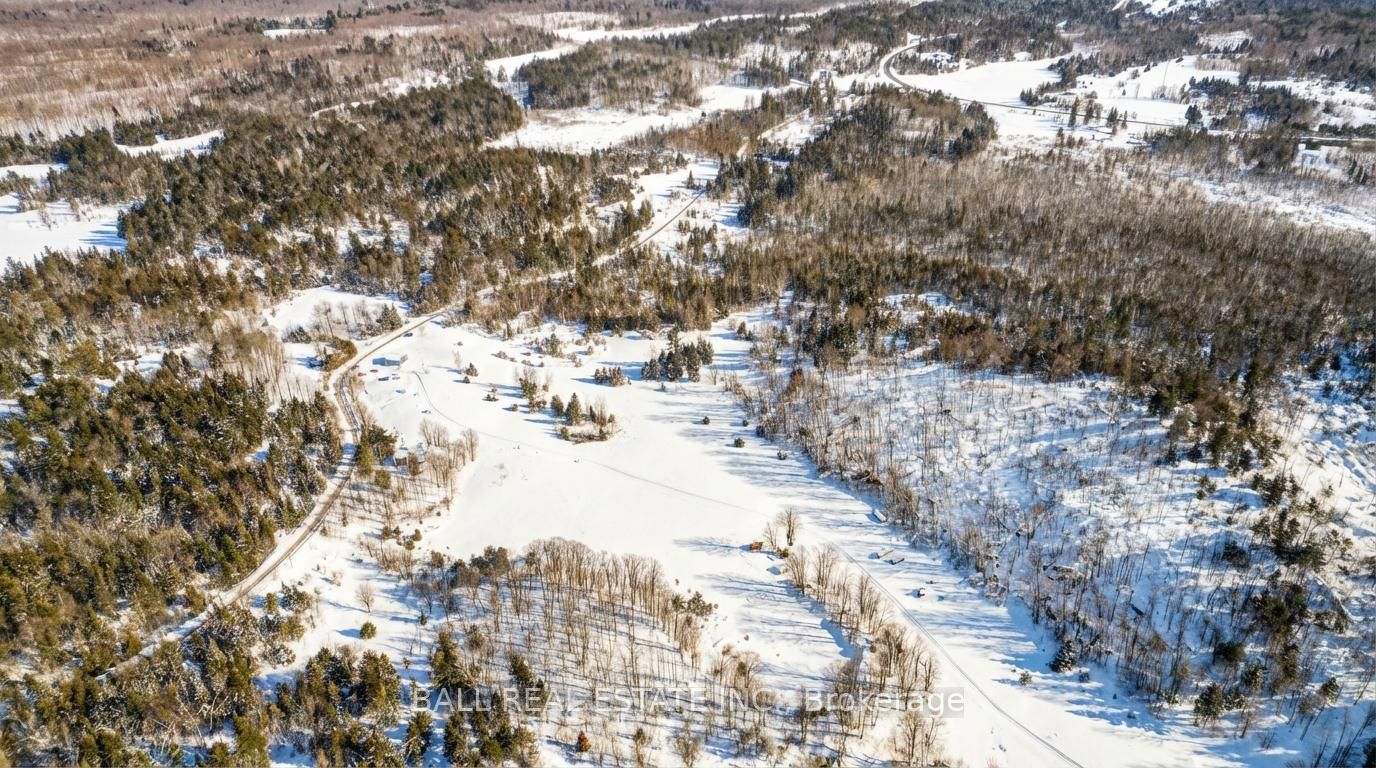 186 Lasswade Road, North Kawartha, ON K0L 1A0 photo 4