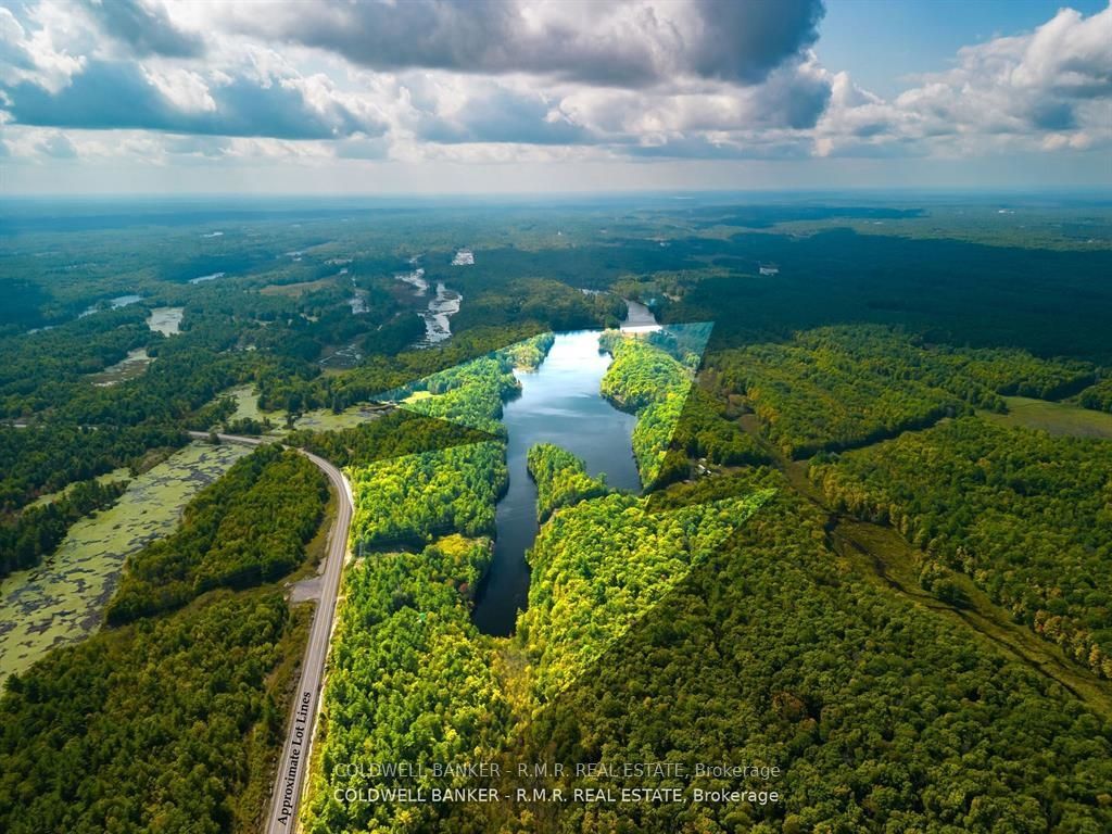 8860 County Rd 41, Addington Highlands, ON K0H 1Z0 photo 3