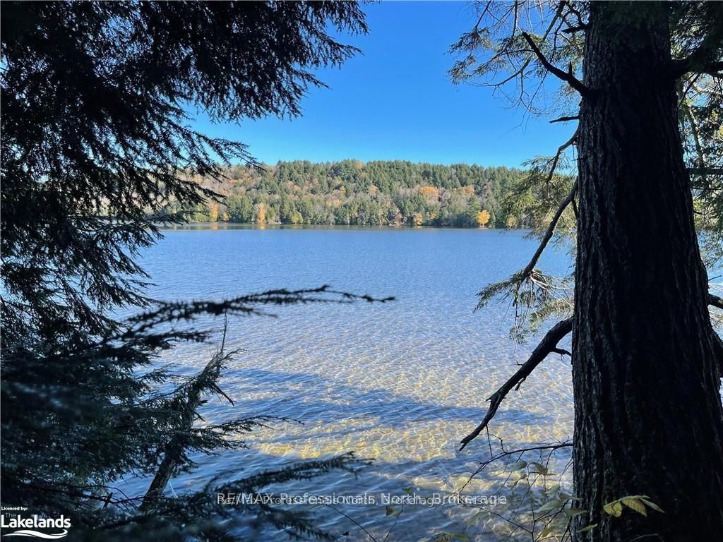 1440-6 WEST OXBOW LAKE Road, Lake of Bays, ON P1H 2J6 photo 3