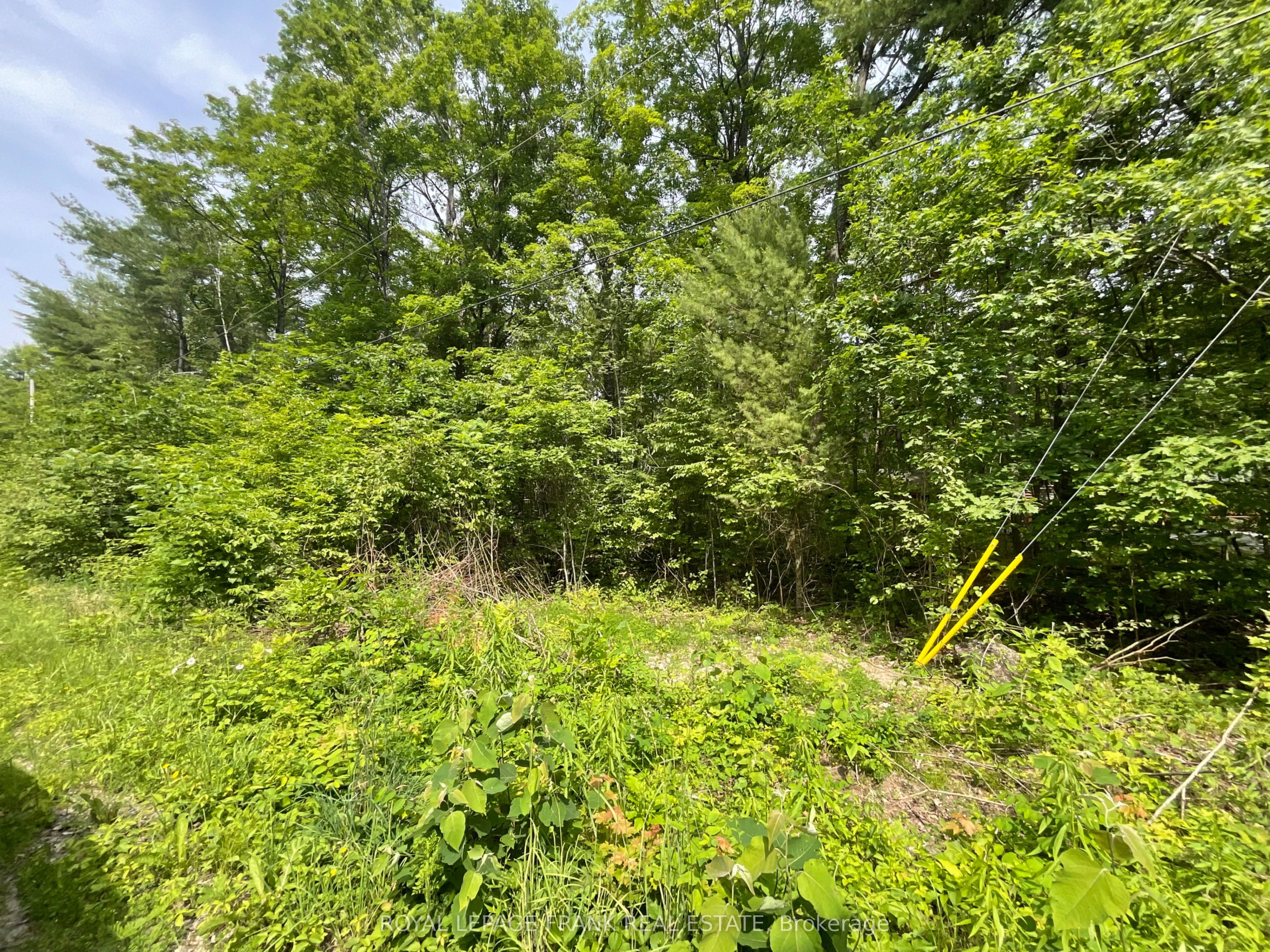0 Sugarbush Crescent, Trent Lakes, ON K0L 1J0 photo 4