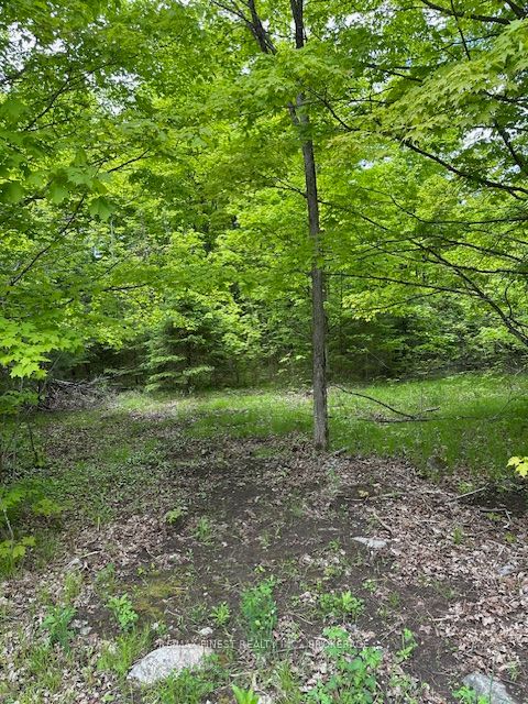 17146 Road 509, Frontenac, ON K0H 2P0 photo 3