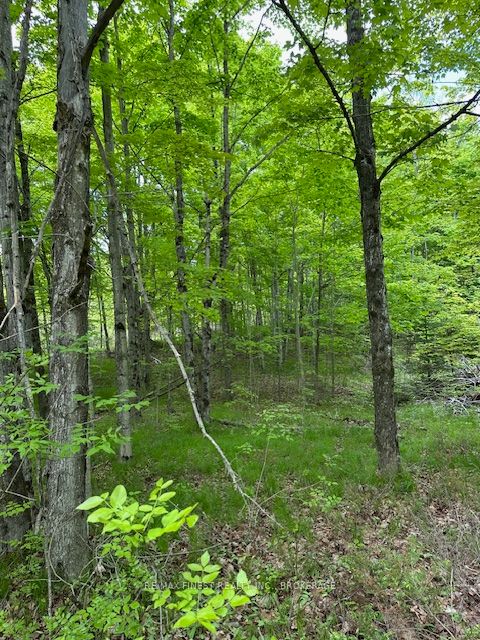 17146 Road 509, Frontenac, ON K0H 2P0 photo 4