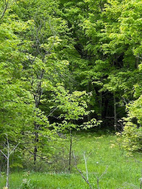 17146 Road 509, Frontenac, ON K0H 2P0 photo 5