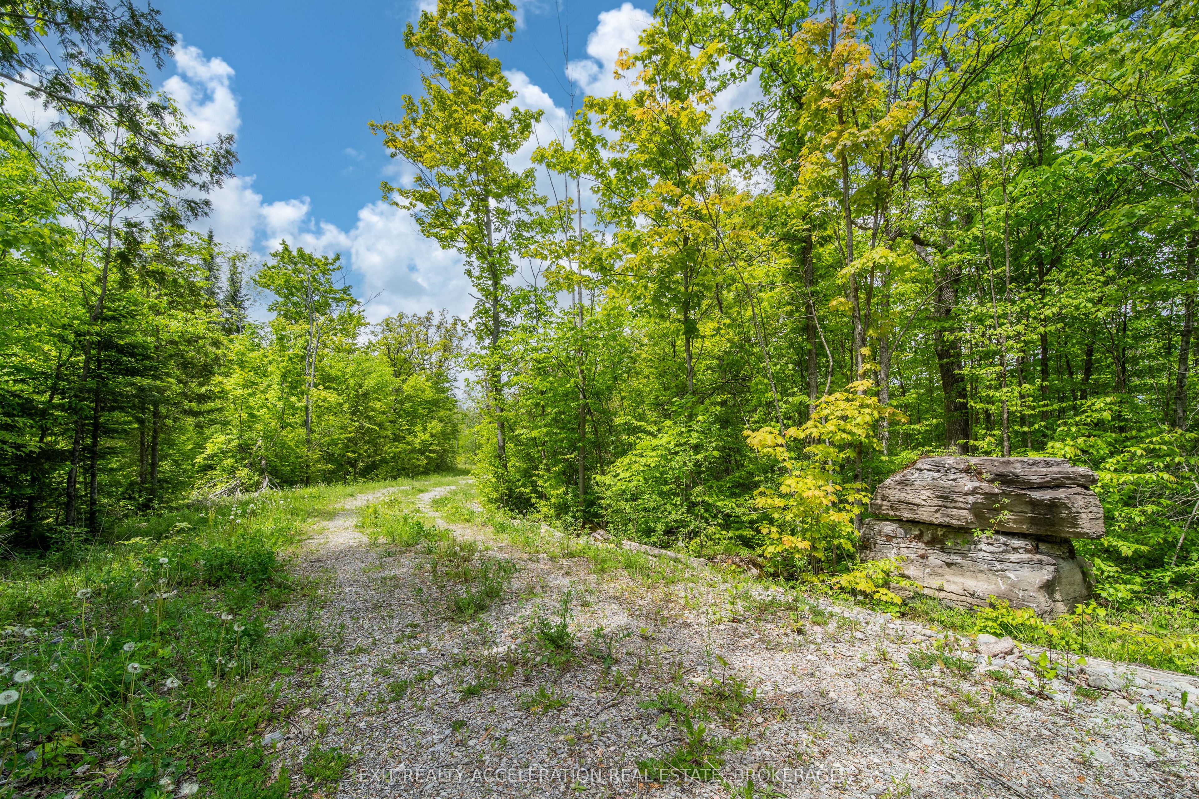 41 Stonehedge Road, Stone Mills, ON K0K 2L0 photo 4
