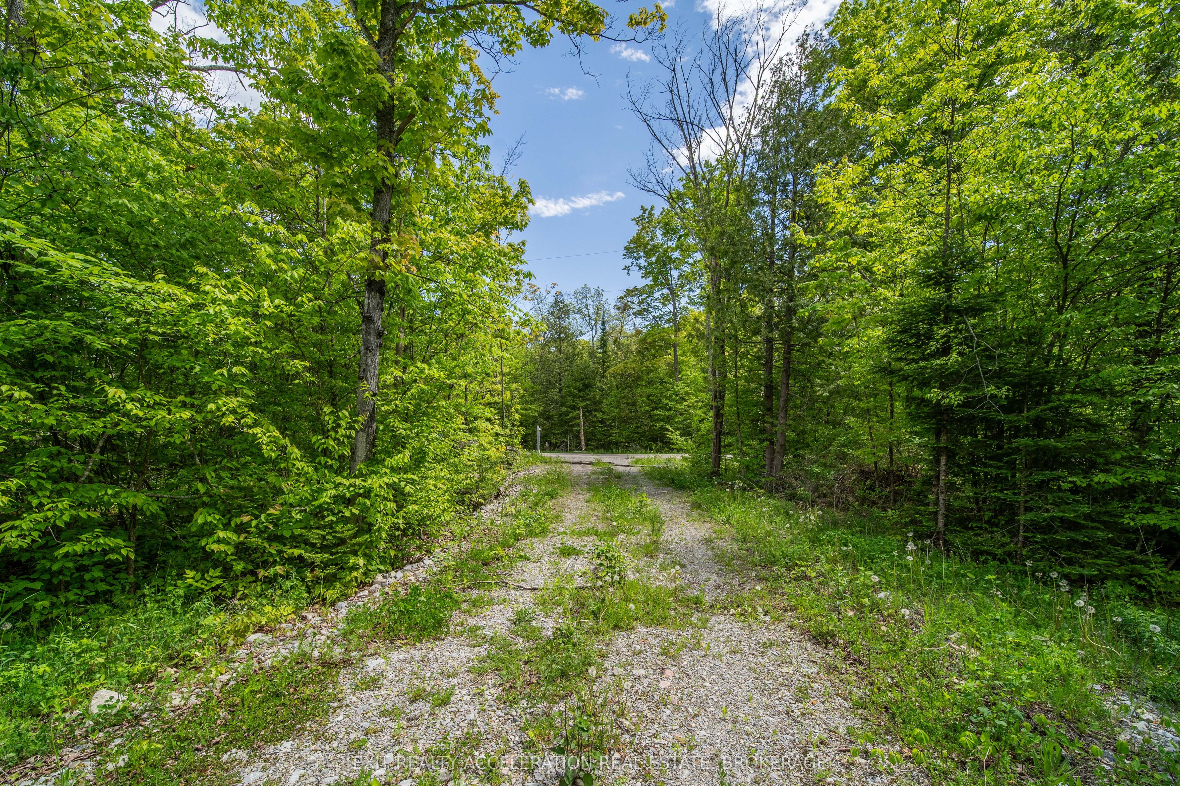 41 Stonehedge Road, Stone Mills, ON K0K 2L0 photo 5