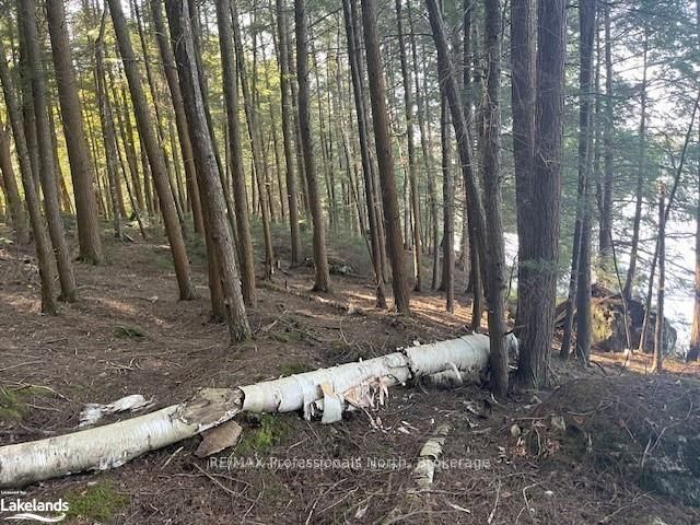 3 STONE GATE Lane, Bracebridge, ON P1L 1X3 photo 4