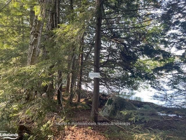 3 STONE GATE Lane, Bracebridge, ON P1L 1X3 photo 5