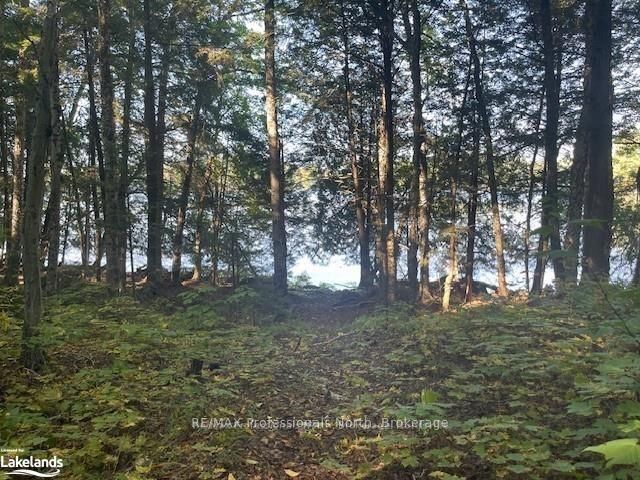 4 STONE GATE Lane, Bracebridge, ON P1L 1X3 photo 3