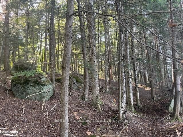 4 STONE GATE Lane, Bracebridge, ON P1L 1X3 photo 5