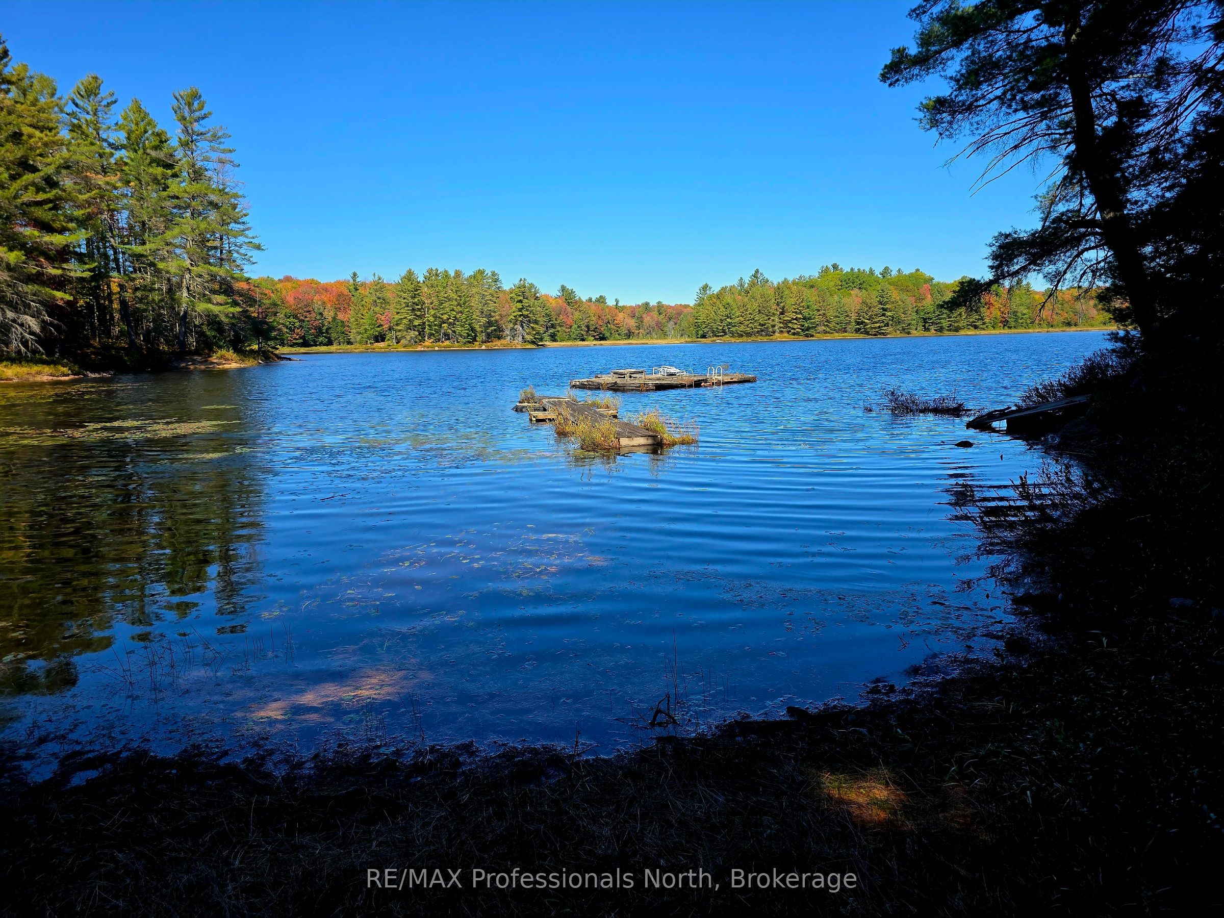 LOT 9 & 10 CONCESSION 5, Lake of Bays, ON P0B 1A0 photo 2