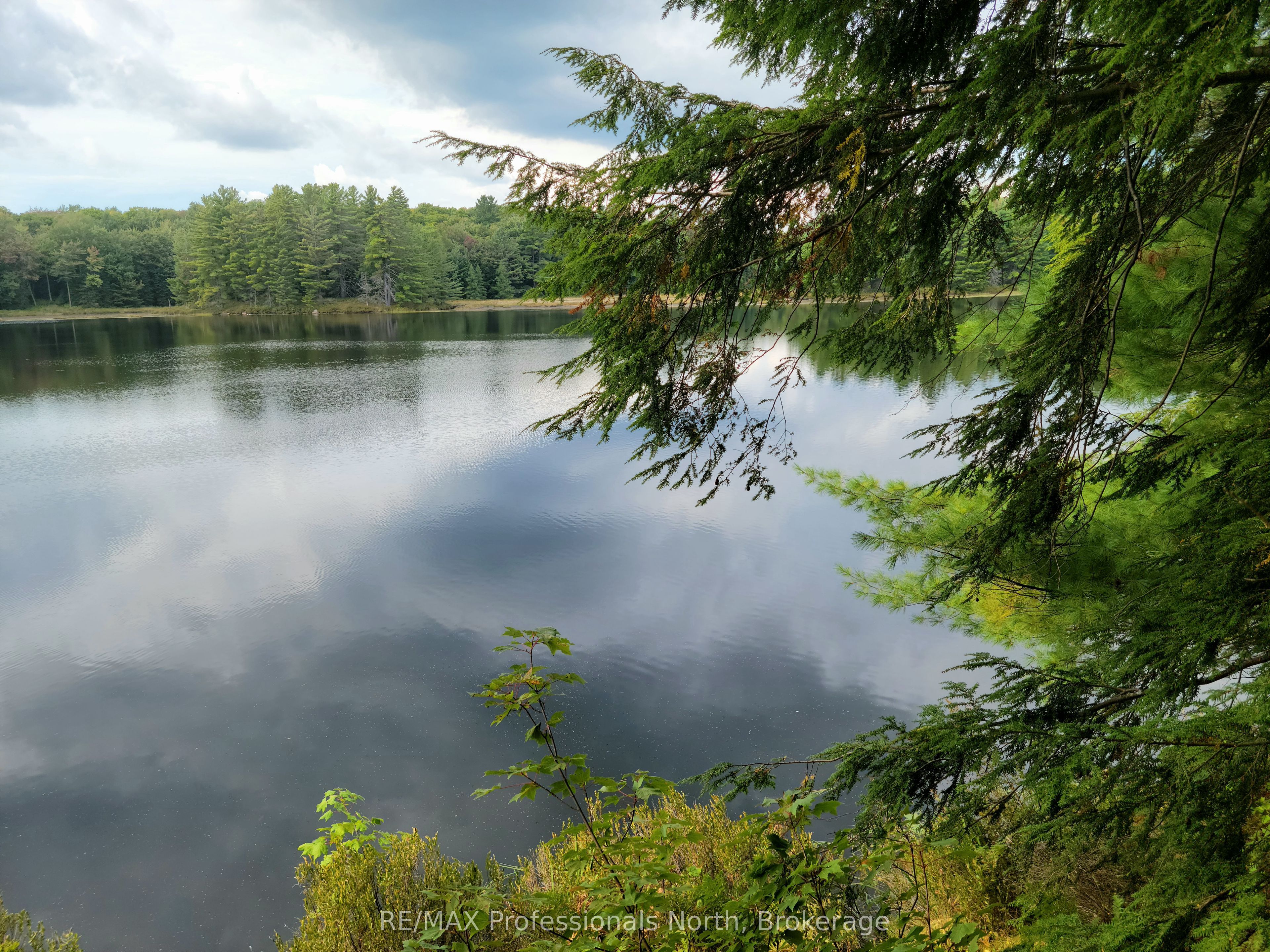 LOT 9 & 10 CONCESSION 5, Lake of Bays, ON P0B 1A0 photo 3