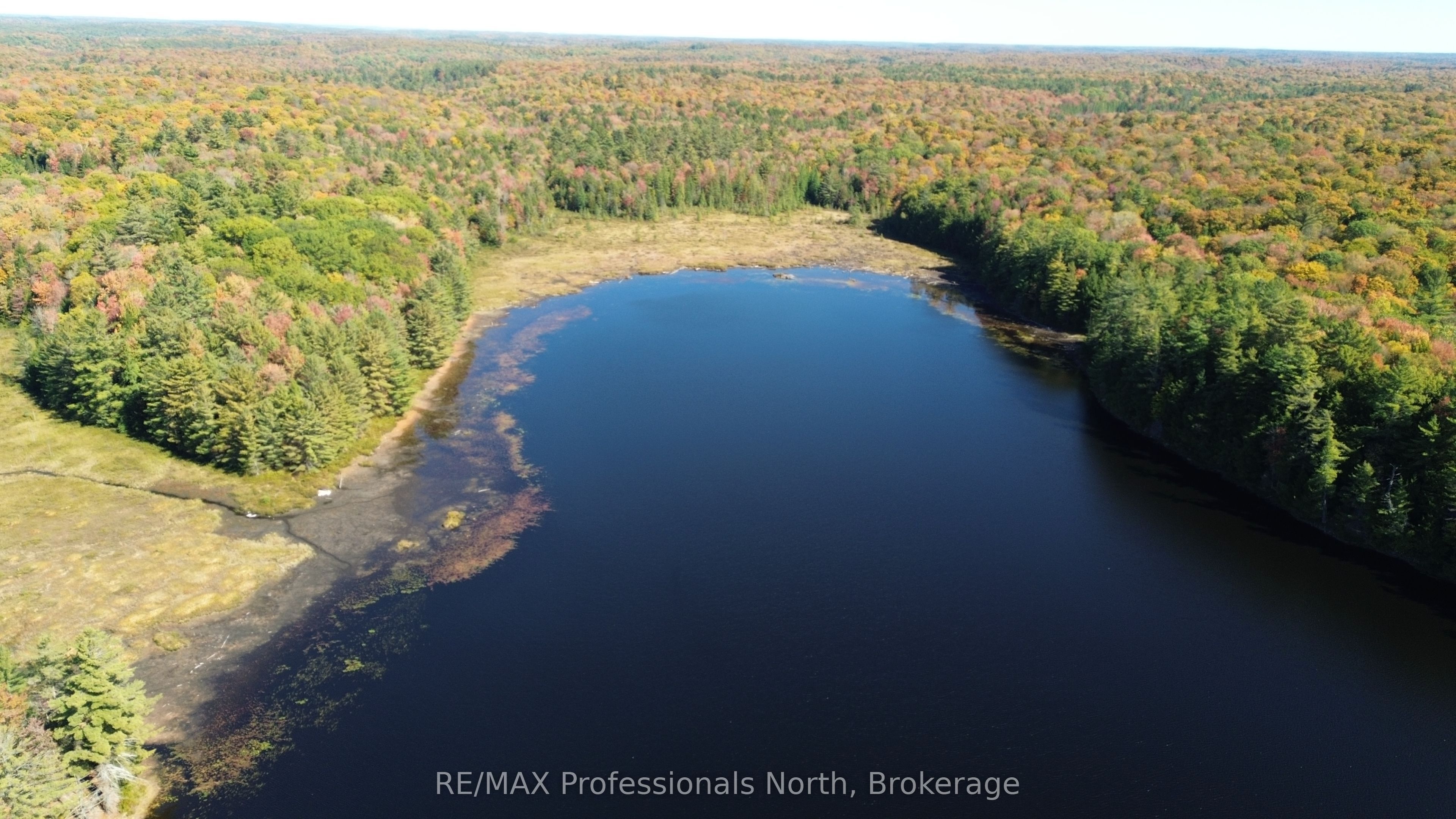 LOT 9 & 10 CONCESSION 5, Lake of Bays, ON P0B 1A0 photo 4