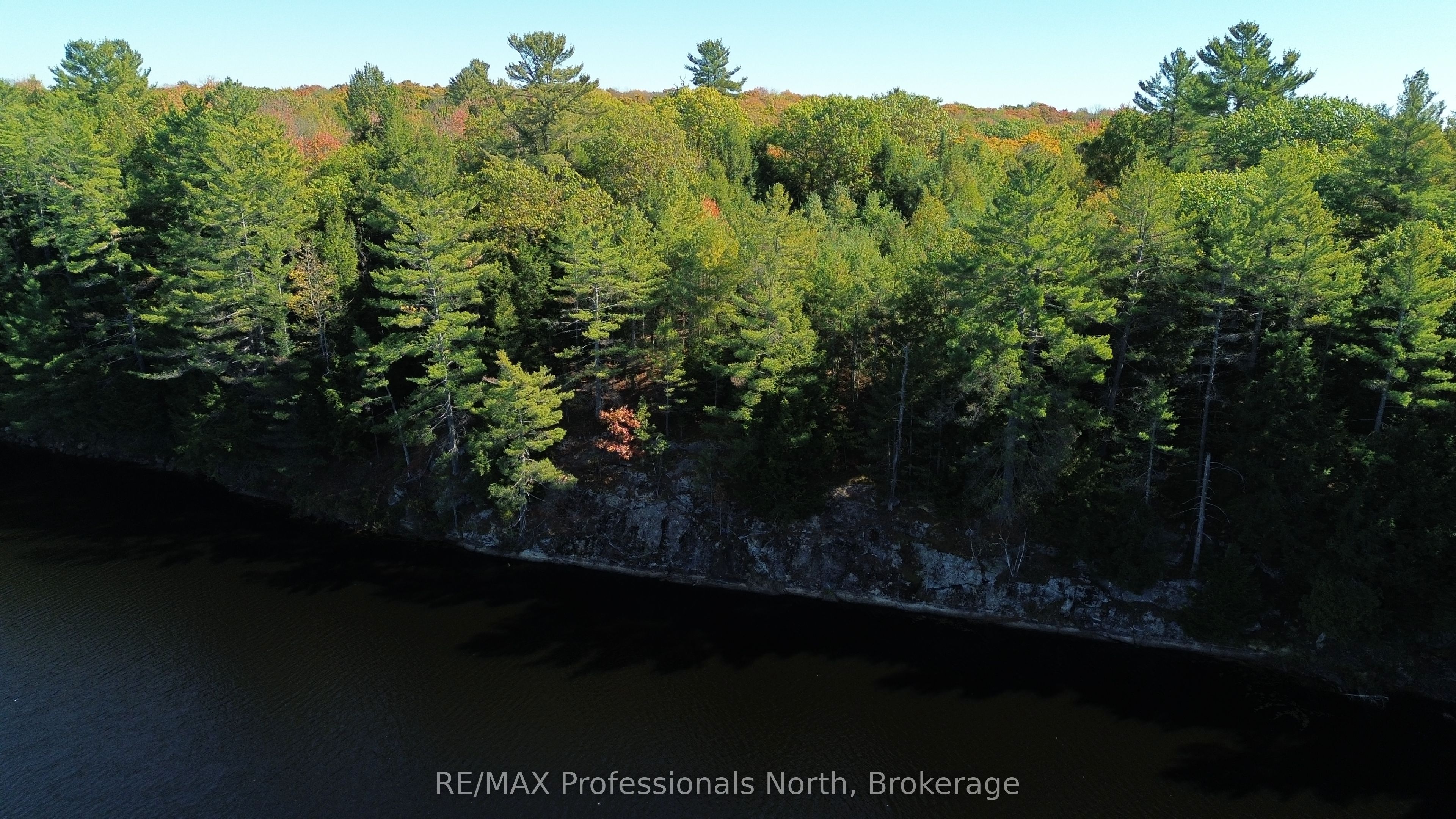 LOT 9 & 10 CONCESSION 5, Lake of Bays, ON P0B 1A0 photo 5