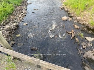 17556 Highway 62, Madoc, ON K0K 2K0 photo 2