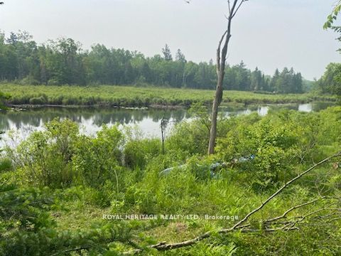 17556 Highway 62, Madoc, ON K0K 2K0 photo 4