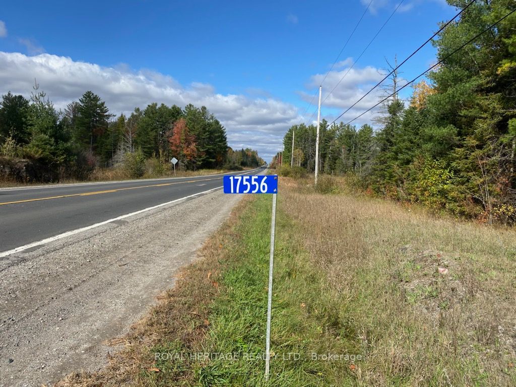 17556 Highway 62, Madoc, ON K0K 2K0 photo 5
