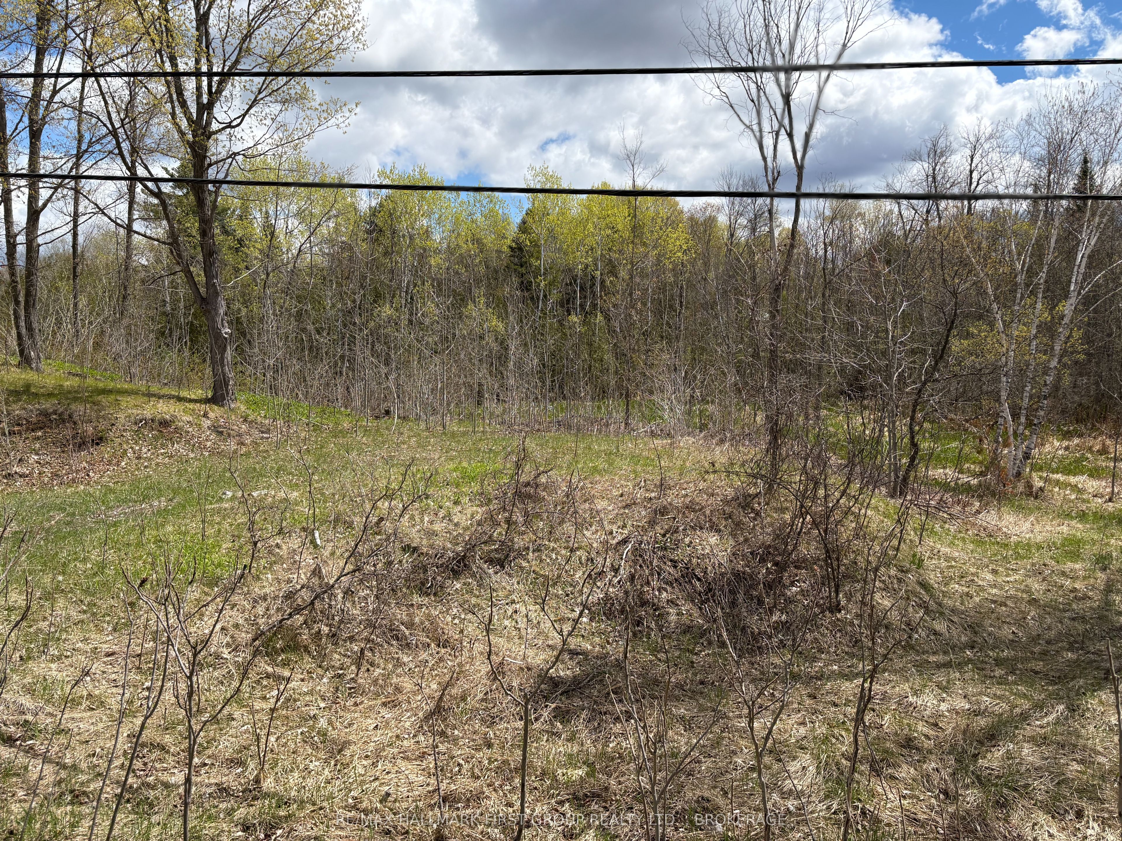 Lot 0 County Road 38, Frontenac, ON K0H 2P0 photo 4