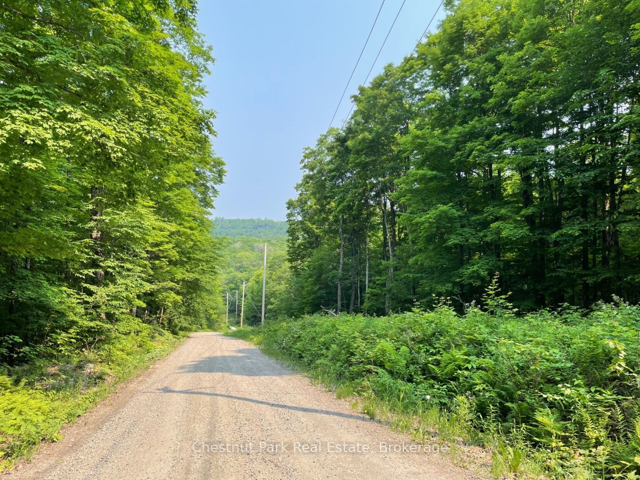 0 Coleman Lake Road, Dysart et al, ON K0M 1S0 photo 4