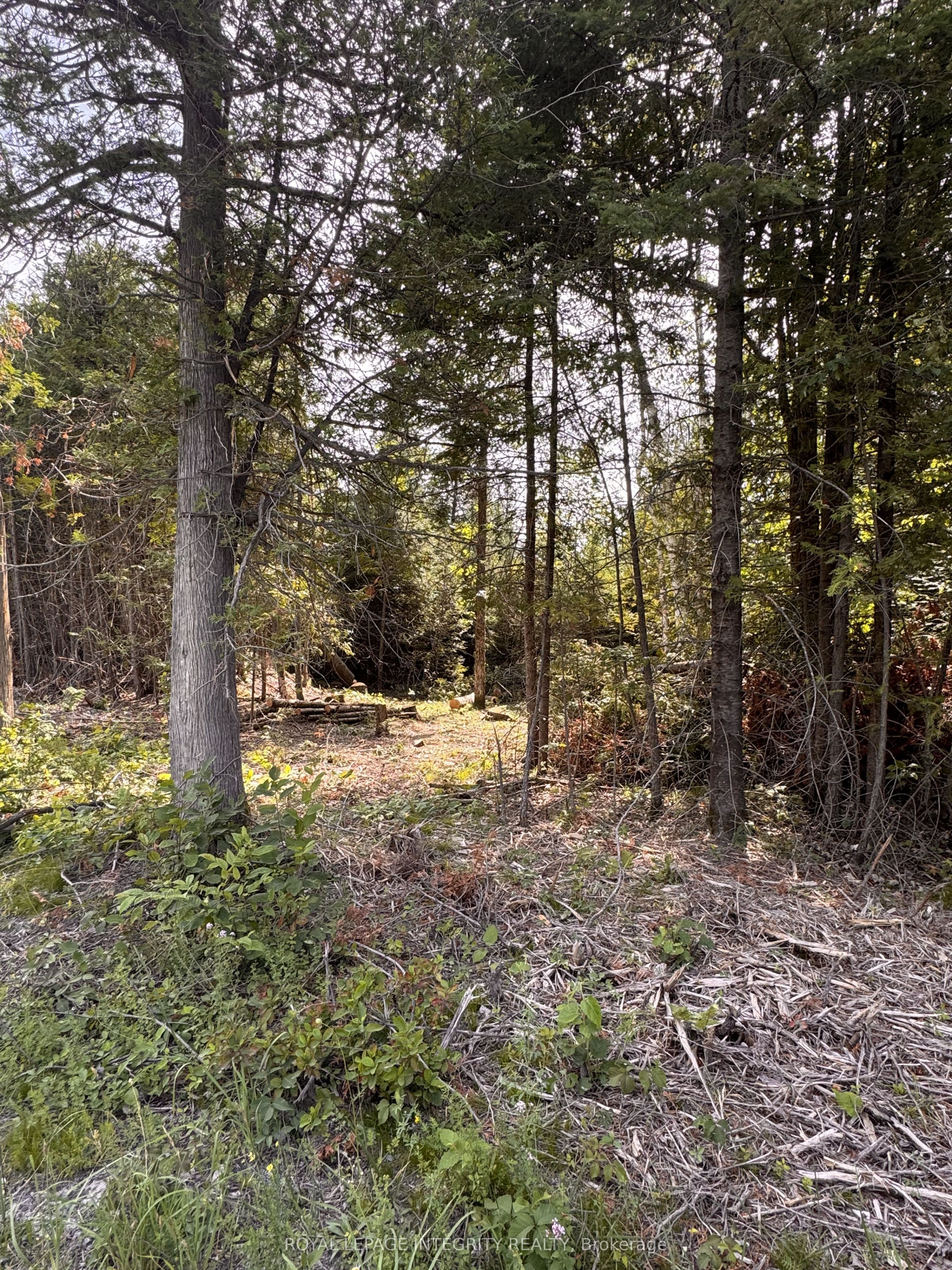 7110 Gallagher Road, Manotick - Kars - Rideau Twp and Area, ON K0A 2T0 photo 2