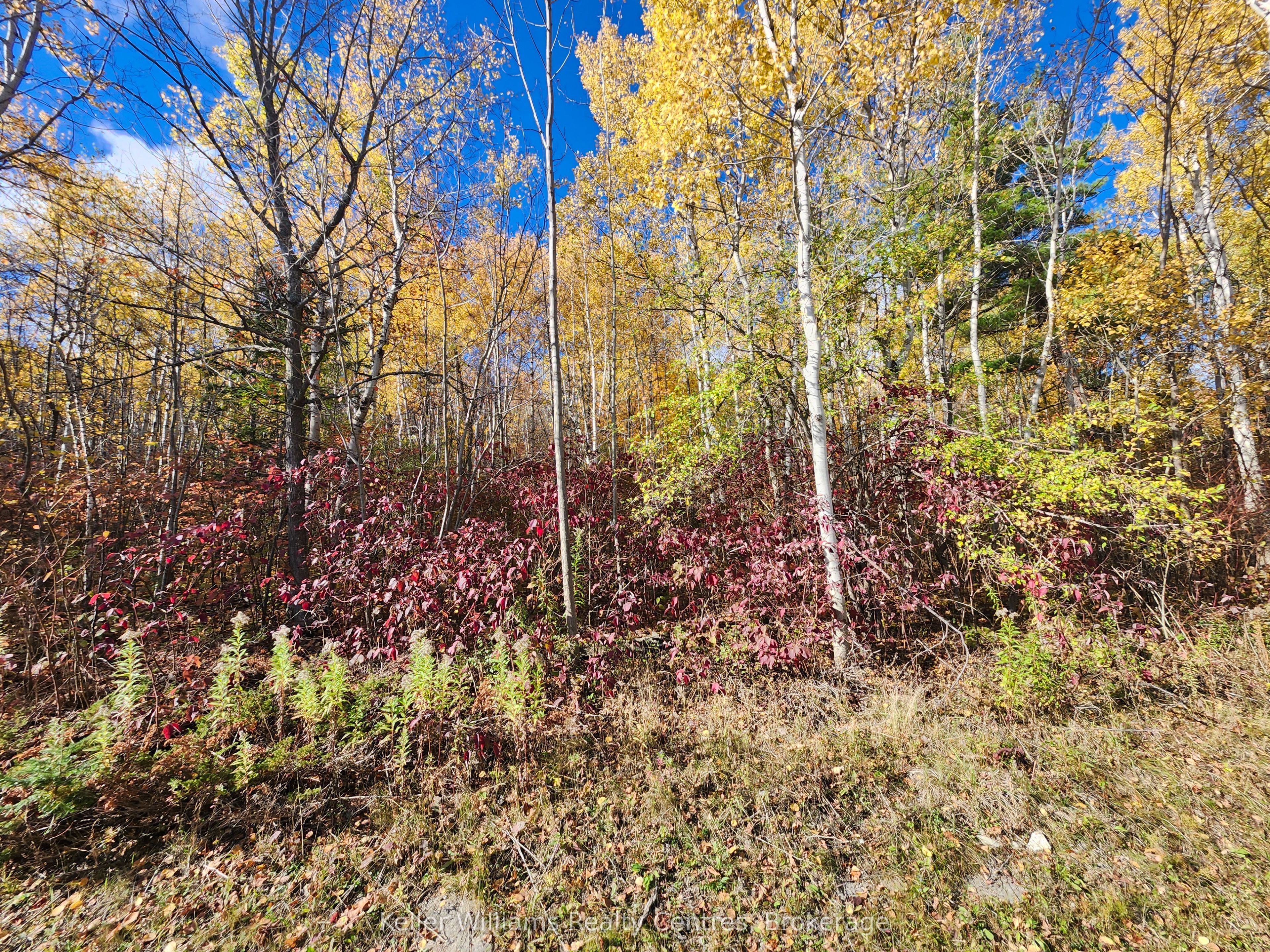 LT 15 Plan 834 Grey Road 1, Georgian Bluffs, ON N0H 1S0 photo 4